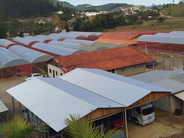 Florestal Rio Verde - Galeria de fotos