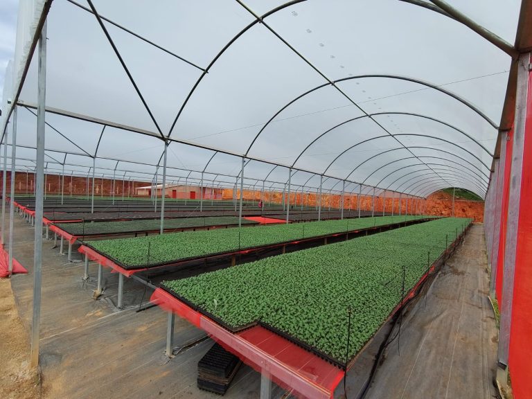 Florestal Rio Verde - Galeria de fotos